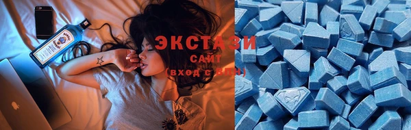 крисы Армянск